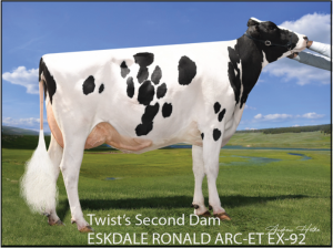 Bernard's 3rd Dam: Adaway Battle 2023